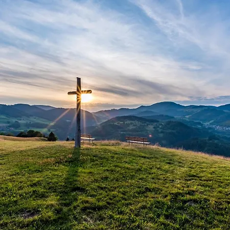 Gaestehaus Holzer Kreuz- Vergissmeinnicht * Frohnd