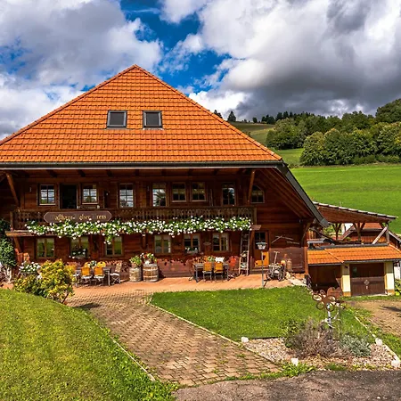 Gaestehaus Holzer Kreuz- Vergissmeinnicht Frohnd